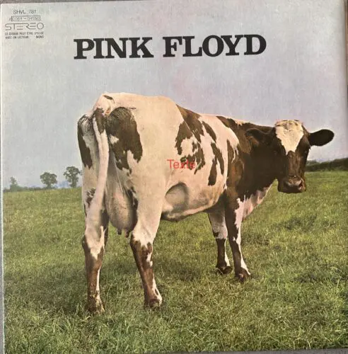 PINK FLOYD
